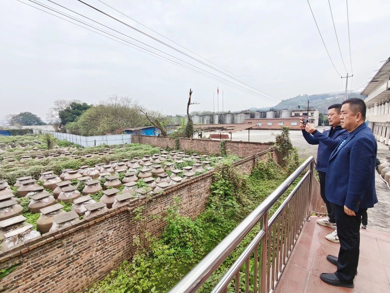 1774313580626704.jpg da2d63ab6a50b3ccfbe86a06f1a9628d.jpg